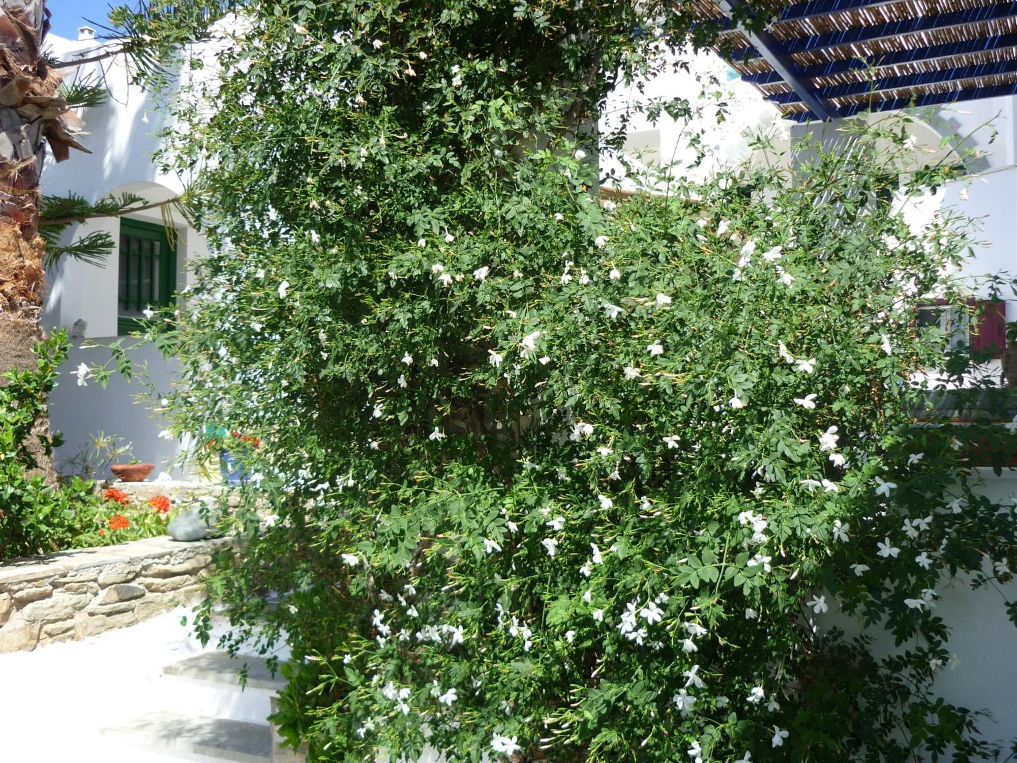 Porto Vlastos Agios Ioannis  Exterior foto